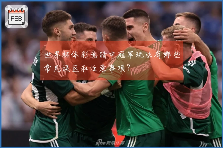 世界杯体彩竞猜中冠军玩法有哪些常见误区和注意事项？