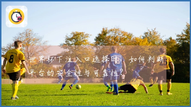 世界杯下注入口选择时，如何判断平台的安全性与可靠性？