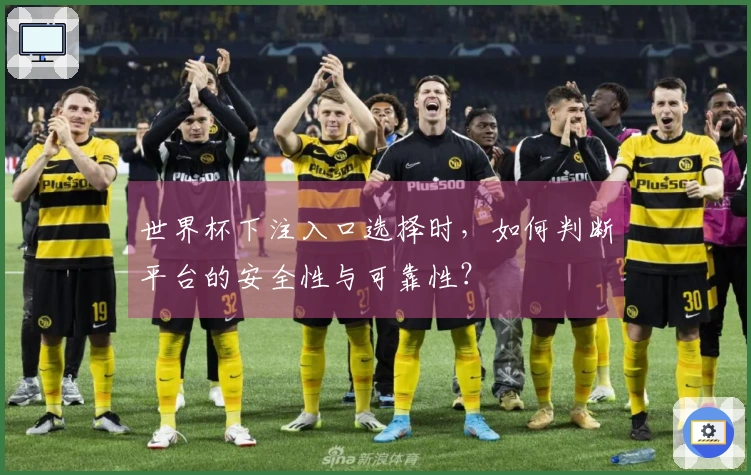 世界杯下注入口选择时，如何判断平台的安全性与可靠性？